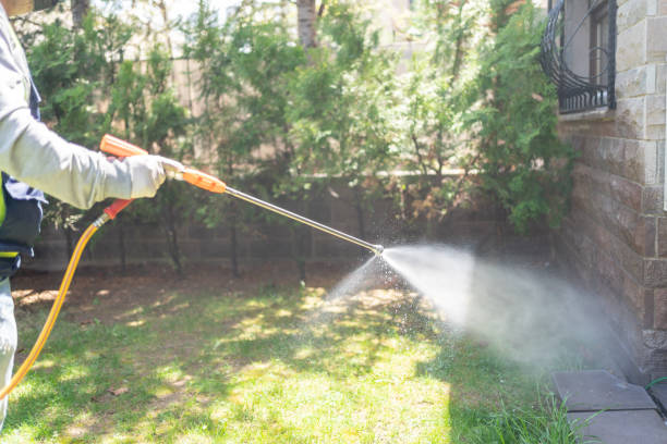 Best Wasp Removal Services  in Goliad, TX