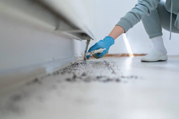Best Cockroach Control Services  in Goliad, TX
